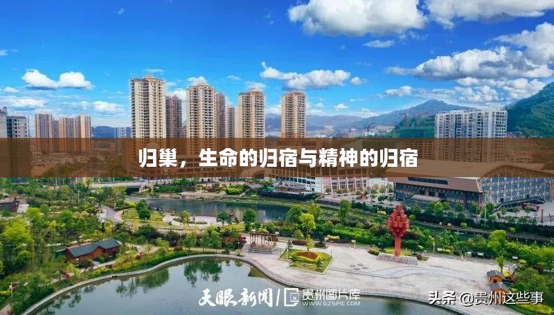 归巢,生命的归宿与精神的归宿 归巢,生命的归宿与精神的归宿