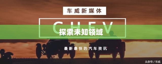 Project D,探索未知领域的先锋之旅 Project D,探索未知领域的先锋之旅