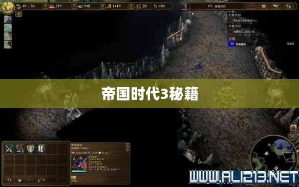 帝国时代3秘籍，策略与技巧的深度解析