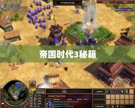 帝国时代3秘籍,策略与技巧的深度解析 帝国时代3秘籍,策略与技巧的深度解析