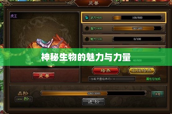 暗龙兽,神秘生物的魅力与力量 暗龙兽,神秘生物的魅力与力量