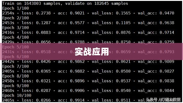 真人实战，探索真实世界中的实战应用与体验