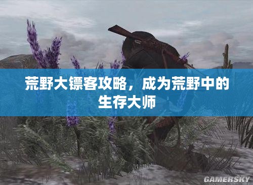 荒野大镖客攻略，成为荒野中的生存大师