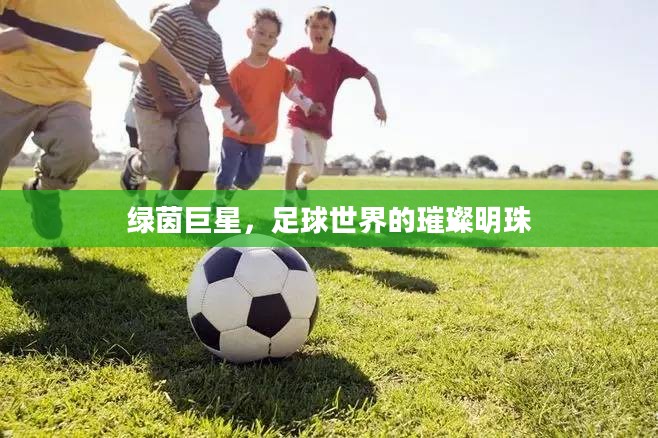 绿茵巨星，足球世界的璀璨明珠