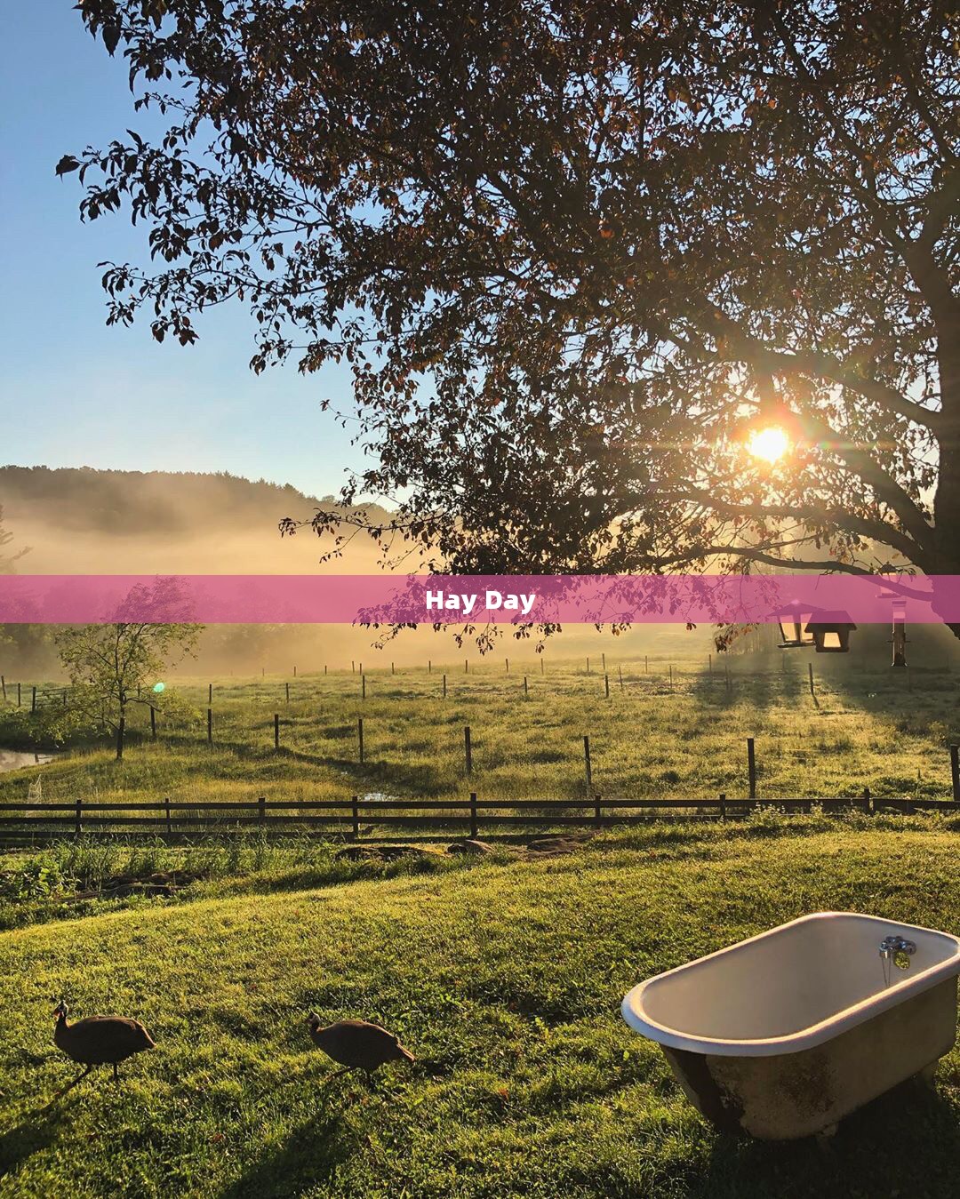 Hay Day,田园生活的美好时光 Hay Day,田园生活的美好时光