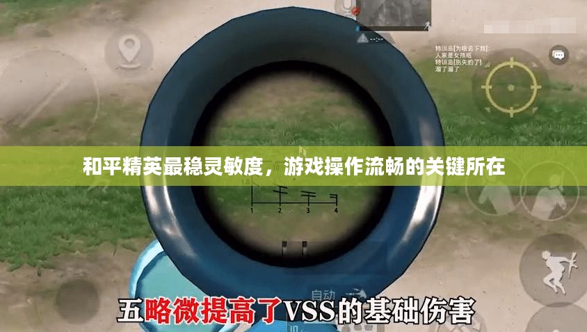 和平精英最稳灵敏度,游戏操作流畅的关键所在 和平精英最稳灵敏度,游戏操作流畅的关键所在