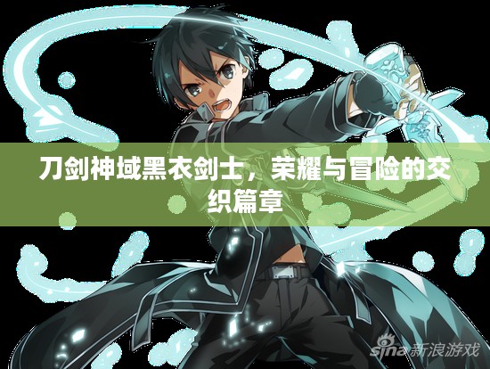 刀剑神域黑衣剑士,荣耀与冒险的交织篇章 刀剑神域黑衣剑士,荣耀与冒险的交织篇章