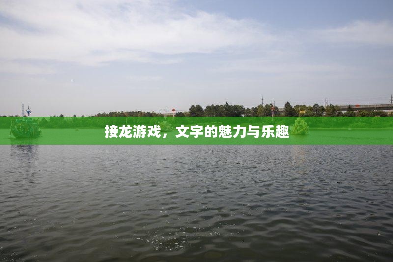 接龙游戏，文字的魅力与乐趣