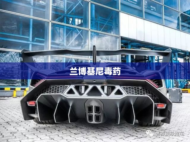 兰博基尼毒药,速度与艺术的完美融合 兰博基尼毒药,速度与艺术的完美融合