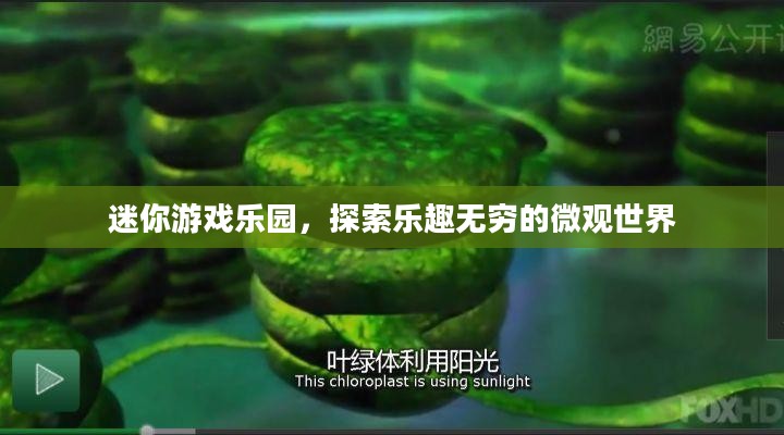 迷你游戏乐园,探索乐趣无穷的微观世界 迷你游戏乐园,探索乐趣无穷的微观世界