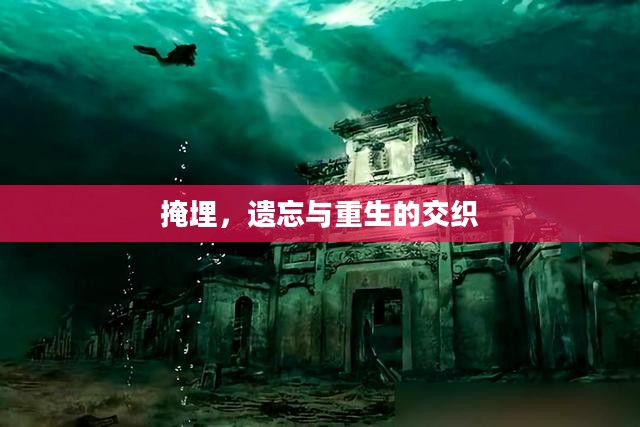 掩埋，遗忘与重生的交织
