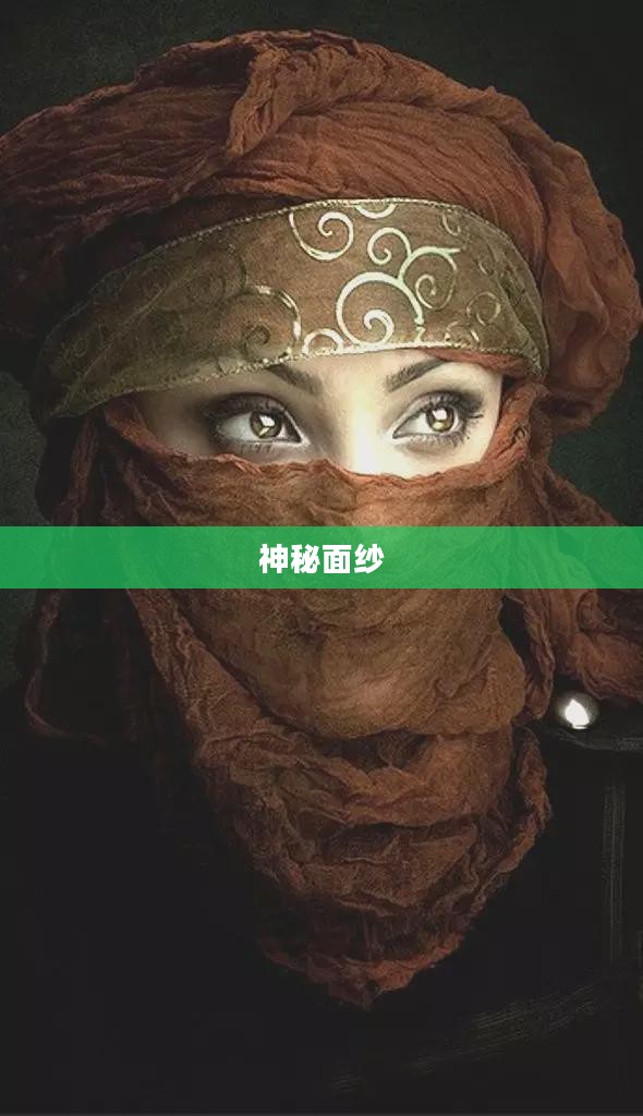 蒙面人的神秘面纱