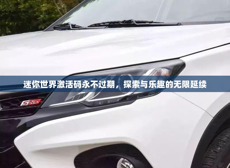 迷你世界激活码永不过期,探索与乐趣的无限延续 迷你世界激活码永不过期,探索与乐趣的无限延续