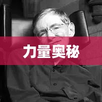 魔法大陆，奥秘与力量的交织