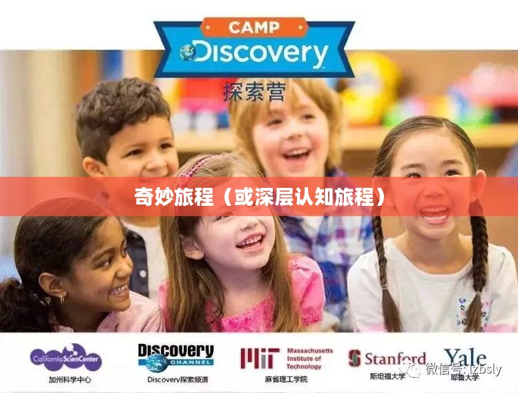 探索Cooties，一种超越表面认知的奇妙旅程