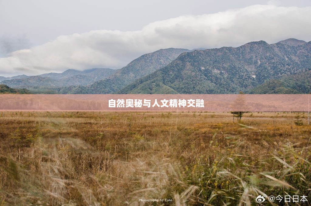 天地鉴,探寻自然奥秘与人文精神的交融之美 天地鉴,探寻自然奥秘与人文精神的交融之美