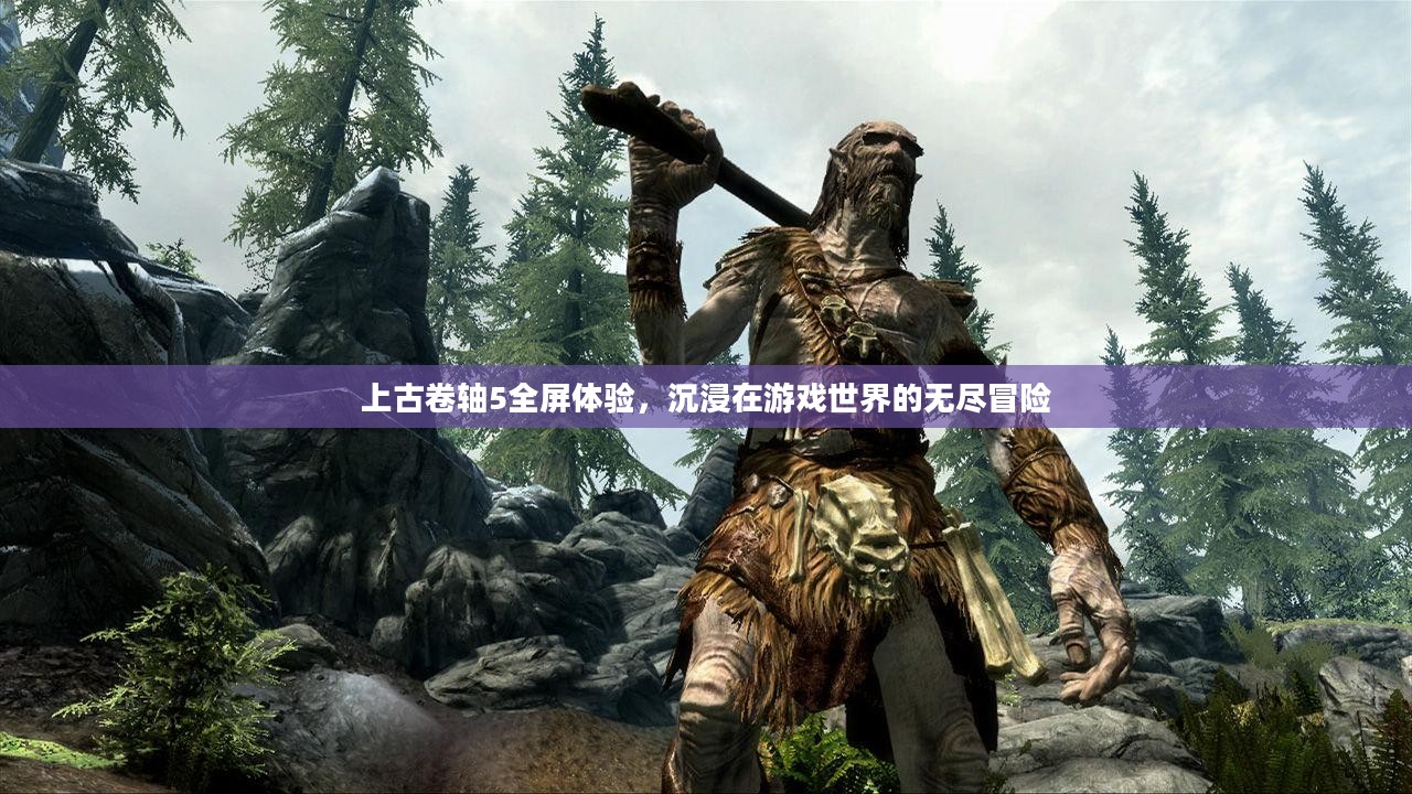 上古卷轴5全屏体验，沉浸在游戏世界的无尽冒险
