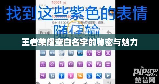 王者荣耀空白名字的秘密与魅力