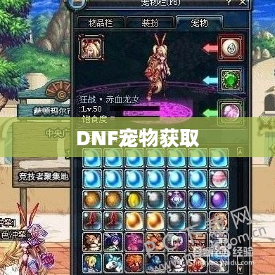DNF宠物获取攻略