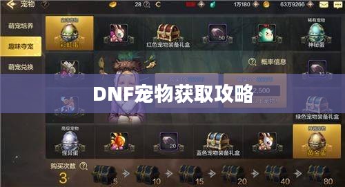 DNF宠物获取攻略 DNF宠物获取攻略