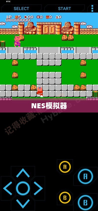 NES模拟器下载指南，重温经典游戏的首选工具