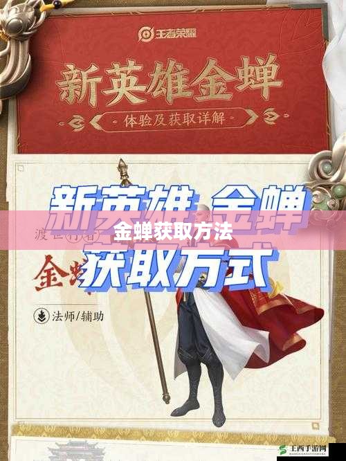 金蝉的获取方法与技巧 金蝉的获取方法与技巧