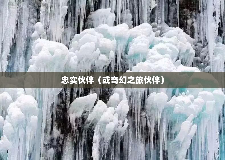 问道宠物幻化，奇幻之旅中的忠实伙伴