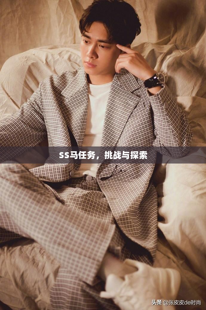 SS马任务,挑战与探索 SS马任务,挑战与探索