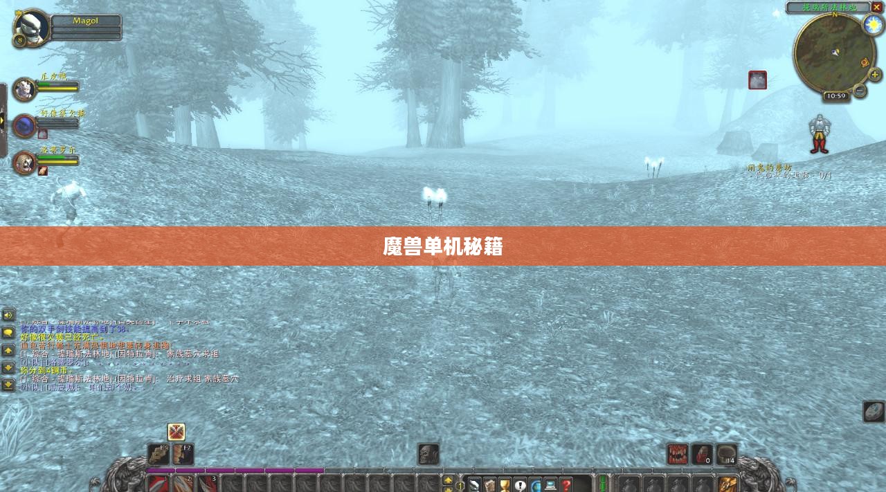 魔兽单机秘籍，探索未知世界的秘密武器