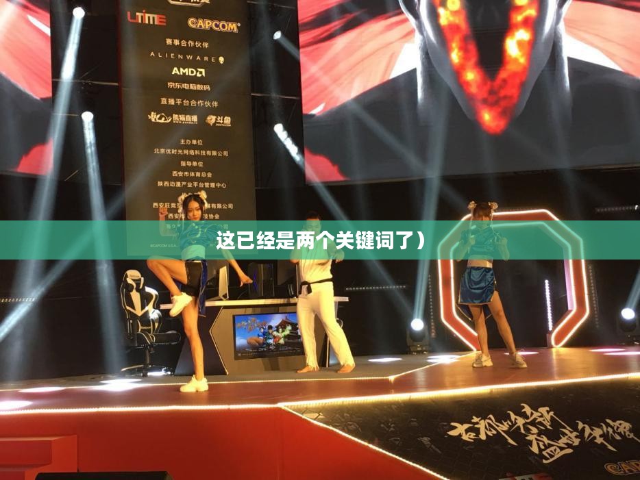 终极格斗2，荣耀与热血的再次碰撞