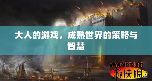 大人的游戏,成熟世界的策略与智慧 大人的游戏,成熟世界的策略与智慧