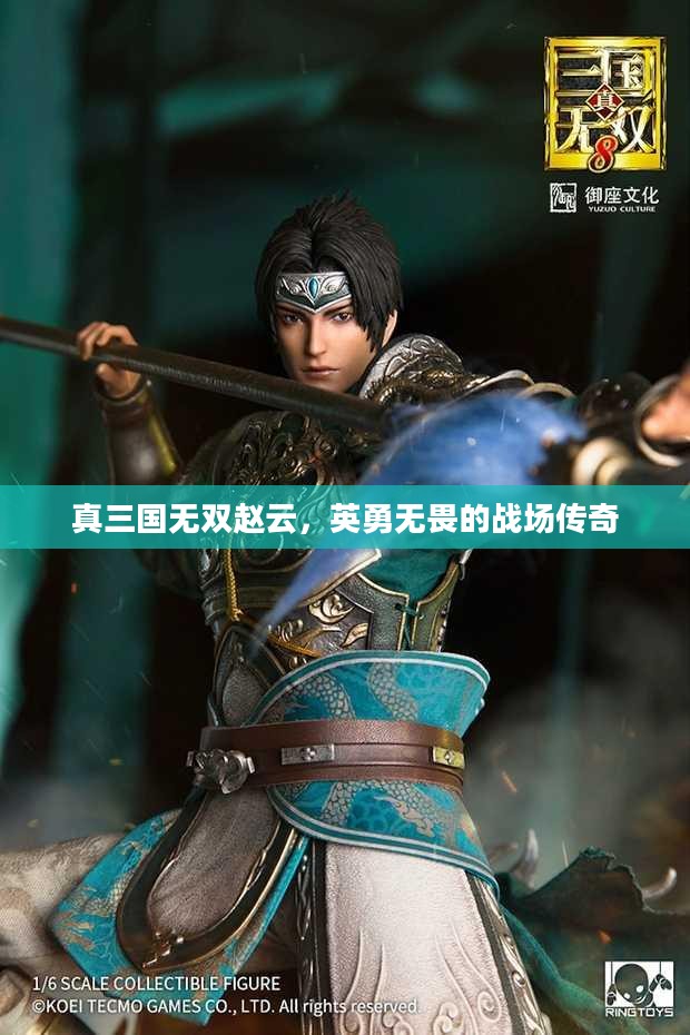 真三国无双赵云,英勇无畏的战场传奇 真三国无双赵云,英勇无畏的战场传奇