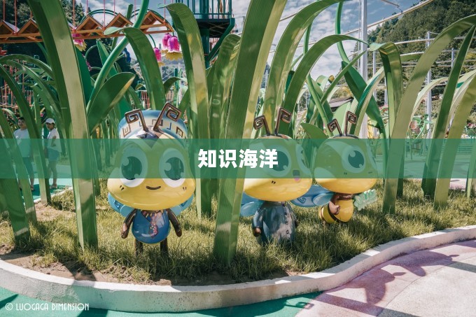 蜂蜂乐园，孩子们的乐园与知识的海洋