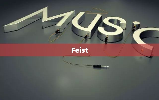 Feist，音乐中的独特魅力与无限创新