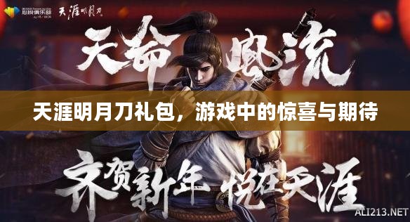 天涯明月刀礼包，游戏中的惊喜与期待