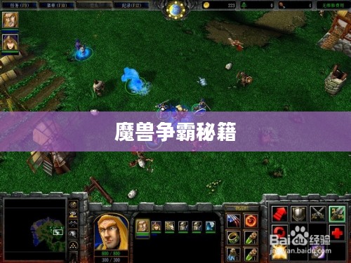 魔兽争霸秘籍大全,从入门到精通的秘籍全攻略 魔兽争霸秘籍大全,从入门到精通的秘籍全攻略