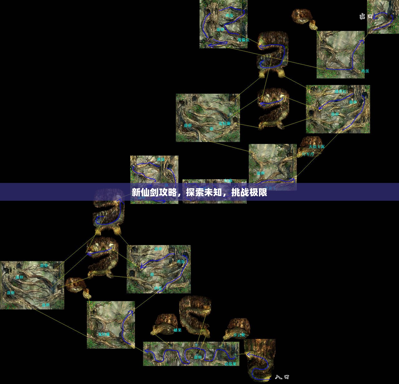 新仙剑攻略，探索未知，挑战极限