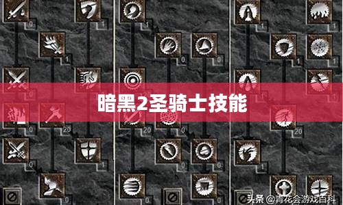 暗黑2圣骑士技能解析与实战应用指南