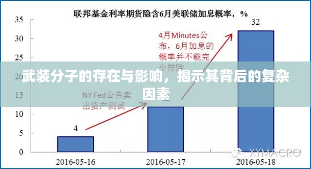 武装分子的存在与影响，揭示其背后的复杂因素
