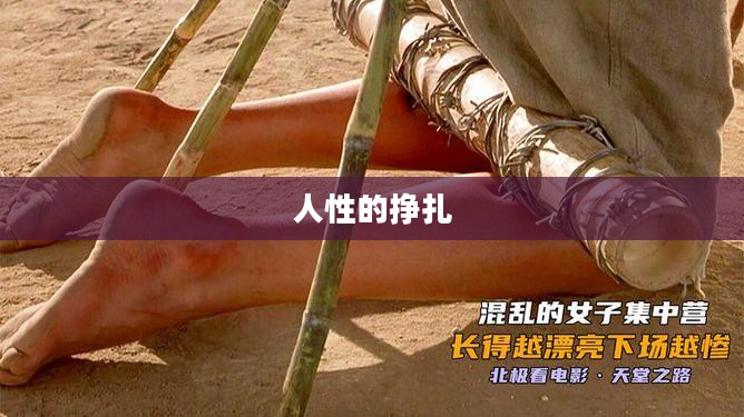 奴隶战，历史的残酷真相与人性的挣扎