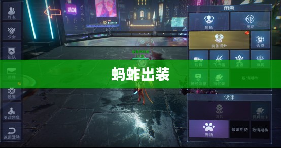 蚂蚱出装，游戏策略与装备选择的艺术