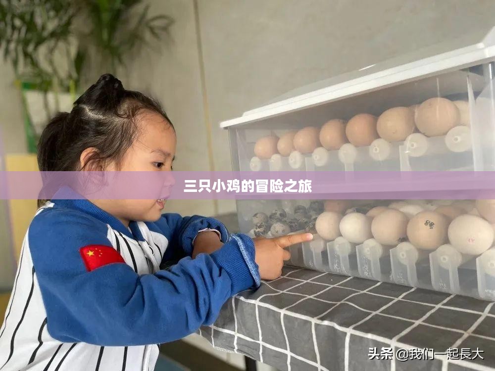 三只小鸡的冒险之旅
