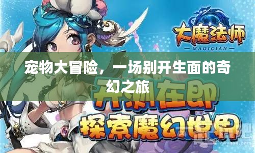 宠物大冒险，一场别开生面的奇幻之旅