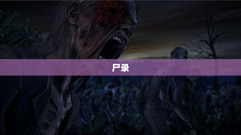 尸录，生与死的神秘记录