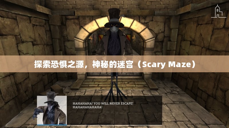 探索恐惧之源，神秘的迷宫（Scary Maze）