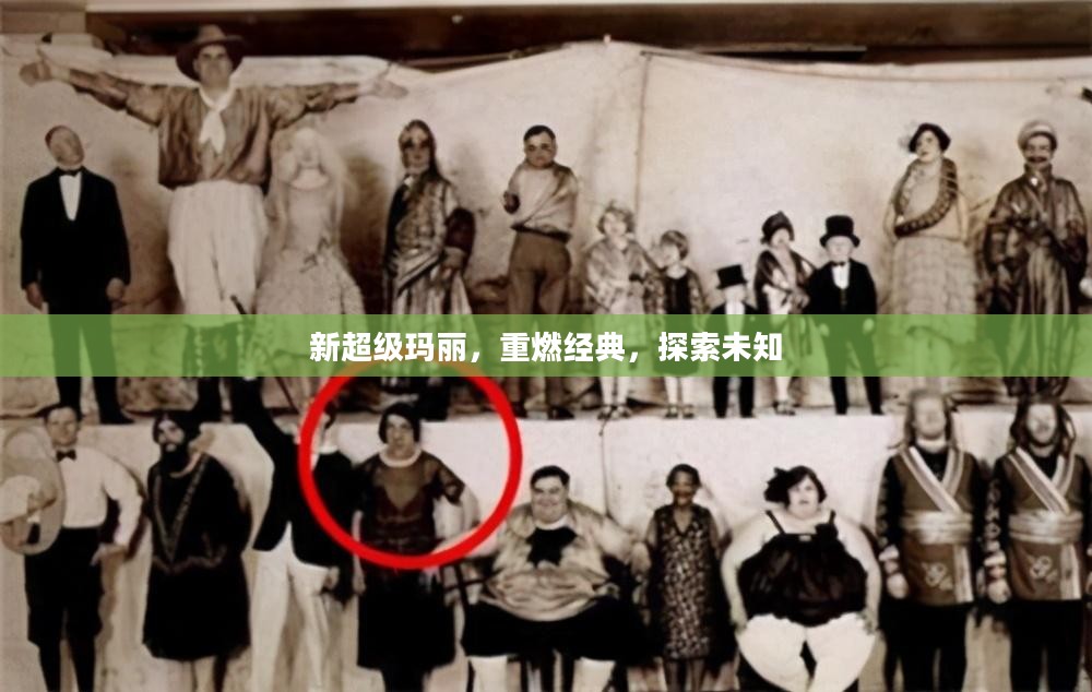 新超级玛丽，重燃经典，探索未知