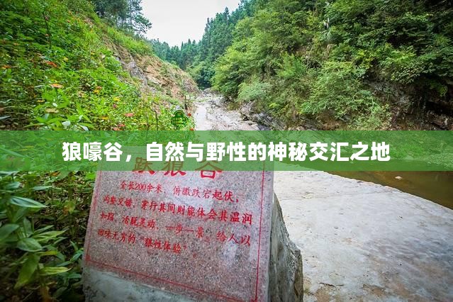 狼嚎谷,自然与野性的神秘交汇之地 狼嚎谷,自然与野性的神秘交汇之地