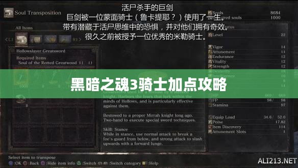 黑暗之魂3骑士加点攻略