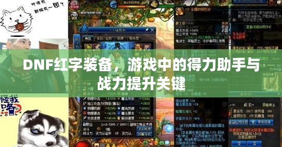 DNF红字装备,游戏中的得力助手与战力提升关键 DNF红字装备,游戏中的得力助手与战力提升关键