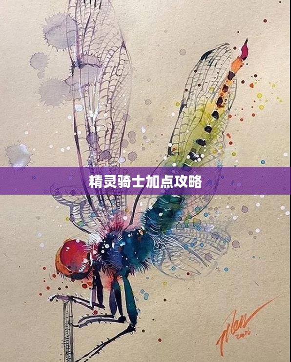 精灵骑士加点攻略，策略与技巧